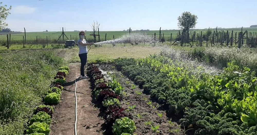 Mantenimiento de la huerta.