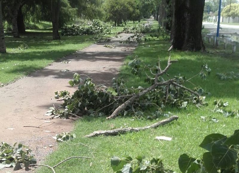 La pista de la Salud también sufrió a los vientos.