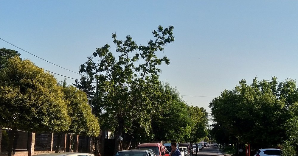 Larga fila de autos