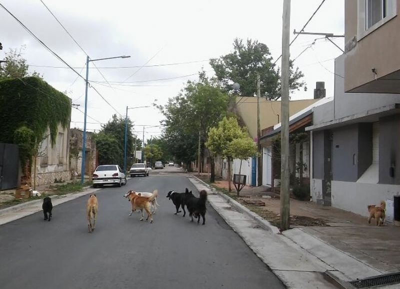 Es la hora de tomar decisiones.