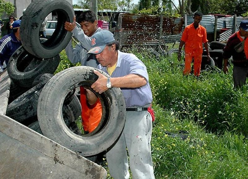 Riesgo de enfermedades.