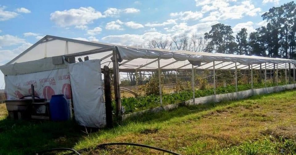 De la huerta a la mesa.