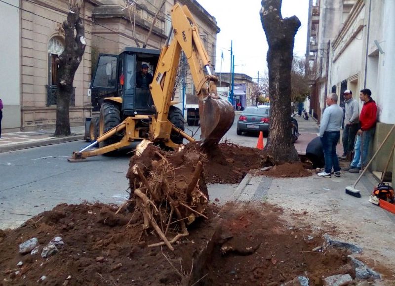 Cuadrilla en plena labor.