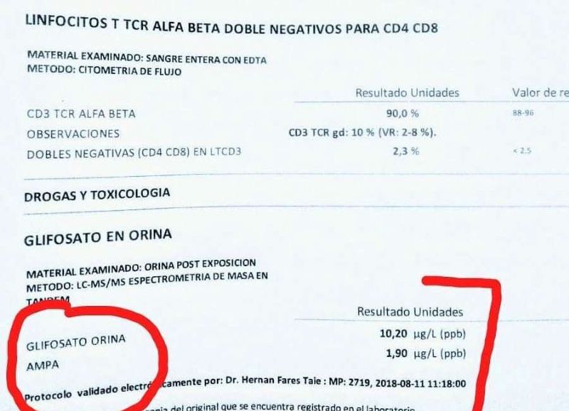 Agroquímicos: Un asesino que goza de impunidad.