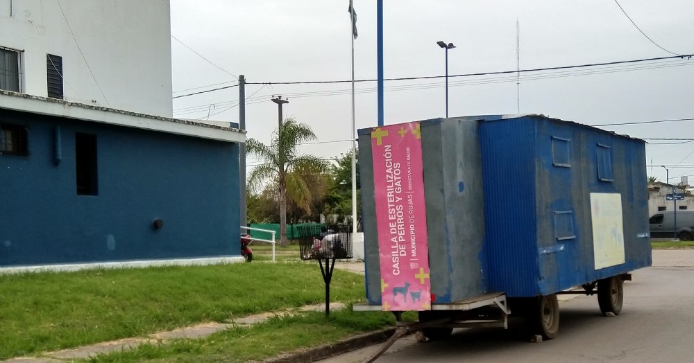 Vacunación y castración de mascotas.