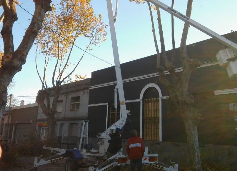 Temporada alta de poda.