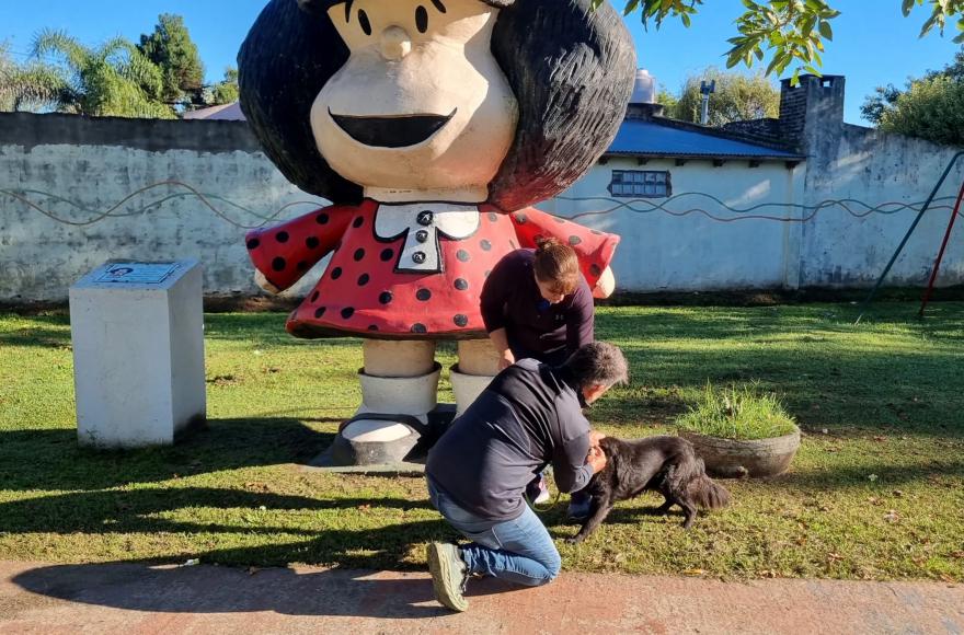 Vacunaci&oacute;n antirr&aacute;bica gratuita en espacios p&uacute;blicos