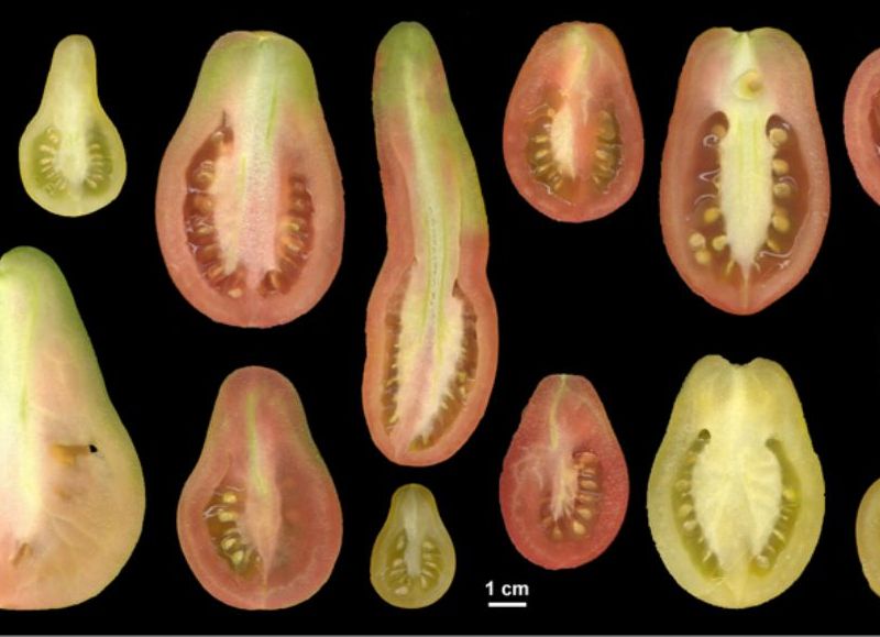 Valiosa investigación.