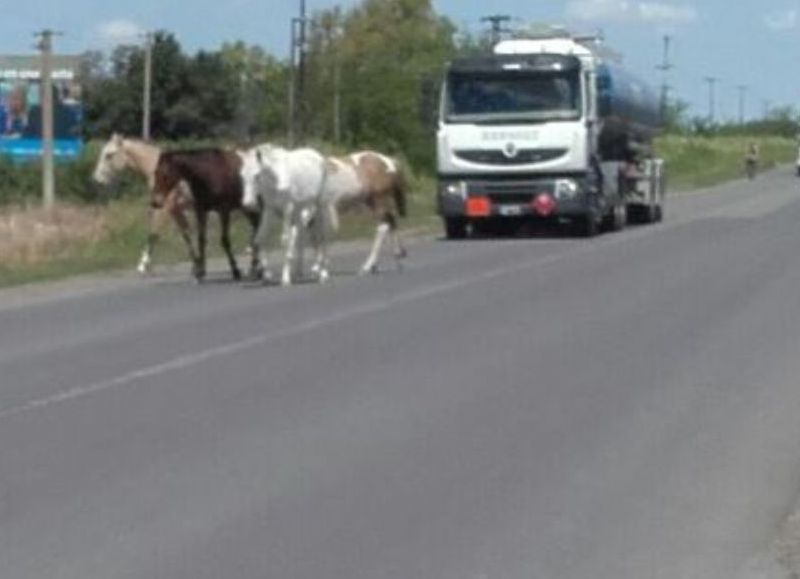 En el tramo entre la 188 y la 45.