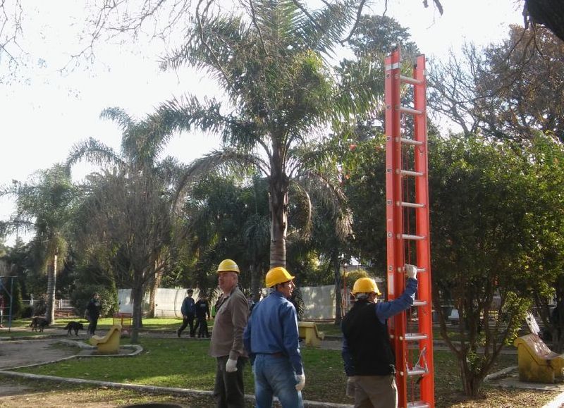 Trabajos a cargo de la Fundación Oficios.