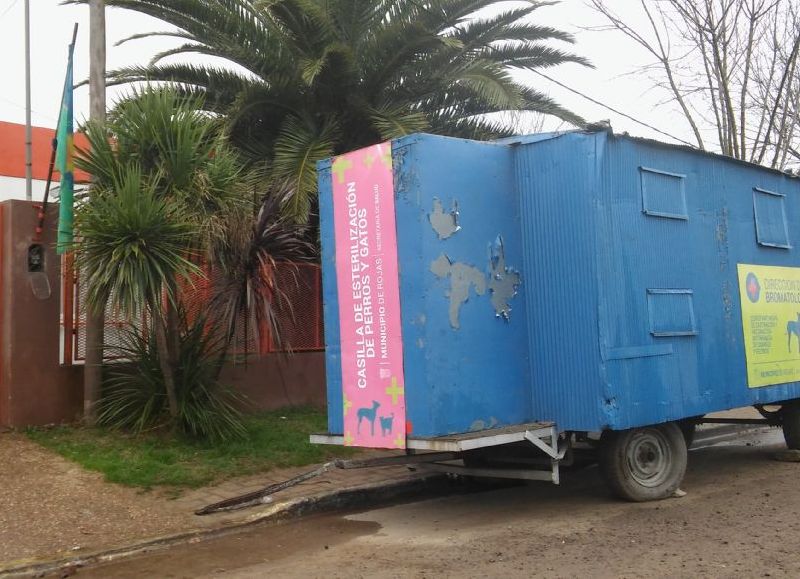 Vacunación y castración de mascotas.