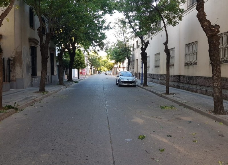 Labores a cargo de Parques y Paseos.