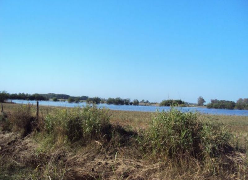 El campo aledaño al barrio Santa Teresa todavía tiene mucha agua.