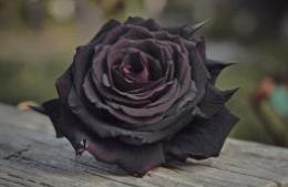 Rub&eacute;n Ismael Lasalle (Chiquito)