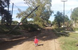 Peligro para todos: Vecinos hartos de reclamar desde hace diez días