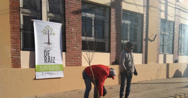 Arbolado público: Relanzan programa municipal "De Raíz"
