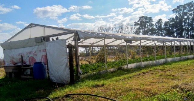 Taller Protegido informó nuevo teléfono para pedidos