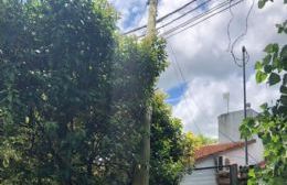 Queja de vecinos por poste caído sobre los cables de luz