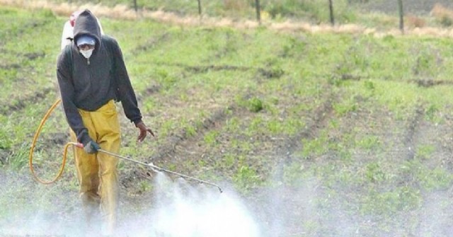 La Justicia prohibió fumigaciones en campos de Pergamino por la contaminación generada