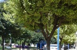 Plaza España: Luego de las protestas, comienzan trabajos de hidrolavado