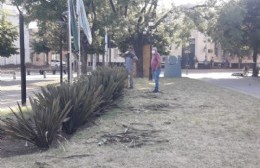 Intensa tarea de Parques y Paseos