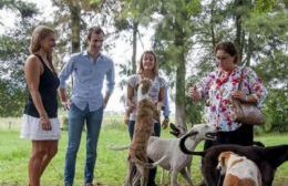 Animales sueltos, el paisaje natural de Junín