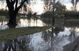 El agua ingresa en Barrio Santa Teresa