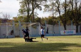 Este domingo se juega la octava del Alianza