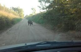 Así se vive en un sector de Barrio Progreso, desde Azara hacia la Ruta 31