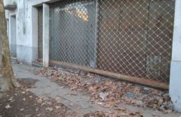 Plena zona céntrica: Vecinos denuncian maltrato animal y vereda intransitable