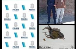 Aprehenden sujeto con estupefacientes y lo dejan en libertad