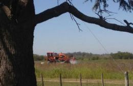 Fumigan un campo a metros de la Escuela de Guido Spano, con los chicos en clase