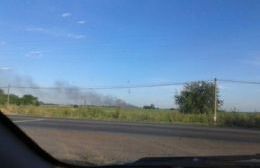 Un incendio se desató en el basural municipal