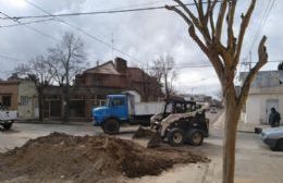 Finalizó la obra de cordón cuneta en calle Constitución