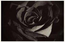 Sergio Francisco González de Galdeano (Vasco)