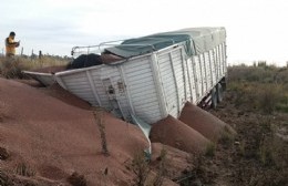 Un acoplado se desprendió y volcó su carga en la banquina