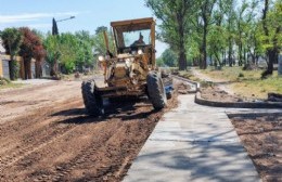 Obras en la calle colectora Luis Dorrego