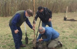 Camuzzi y el Municipio plantaron 16 árboles en el Paseo de la Ribera