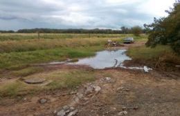 La calle Betzebé presenta un estado casi intransitable