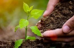 Inscriben para el curso gratuito de Agro Eco Orgánico