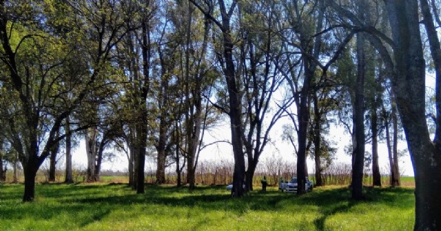 Día de la Primavera: En Rojas se cumplió un amplio operativo de control en espacios públicos