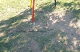 Destrozan juegos en plaza de Barrio Covendiar