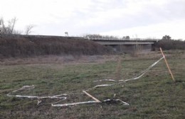 Vandalizaron los nuevos árboles del Paseo de la Ribera