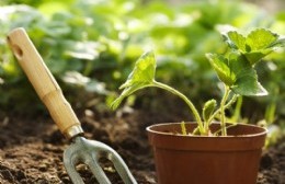 El seminario de jardinería especial se traslada al Parque General Alvear