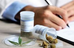 Cannabis medicinal: Reclamo de la Defensoría del Pueblo bonaerense ante Salud de Nación