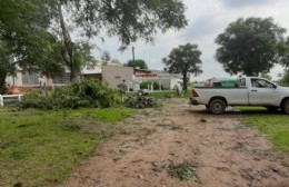 Intenso trabajo en escuelas rurales y plazas