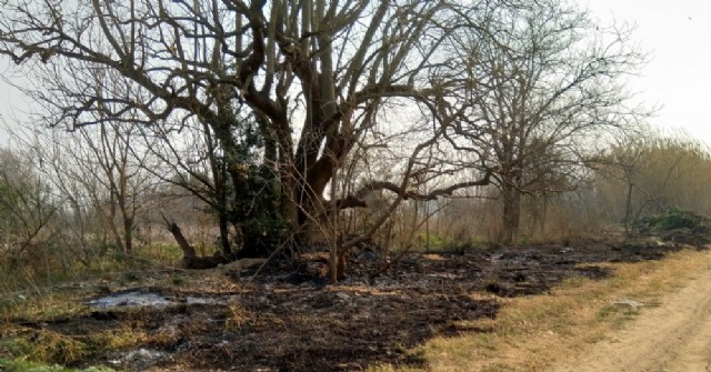 Bomberos Voluntarios sin tregua con incendios de malezas