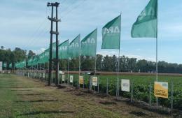 Rojas será sede de un curso presencial para aplicadores terrestres de fitosanitarios