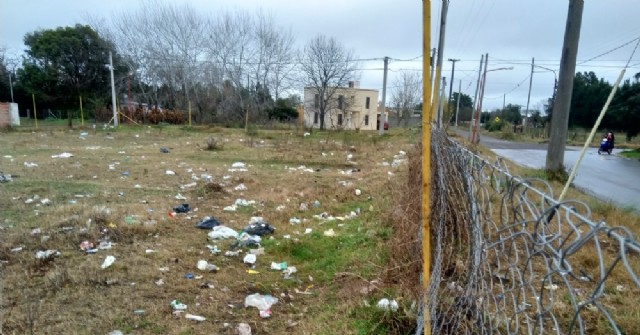 Se acumula basura en un lote de calle Azara