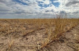 Se creó la comisión local para la emergencia y desastre agropecuario